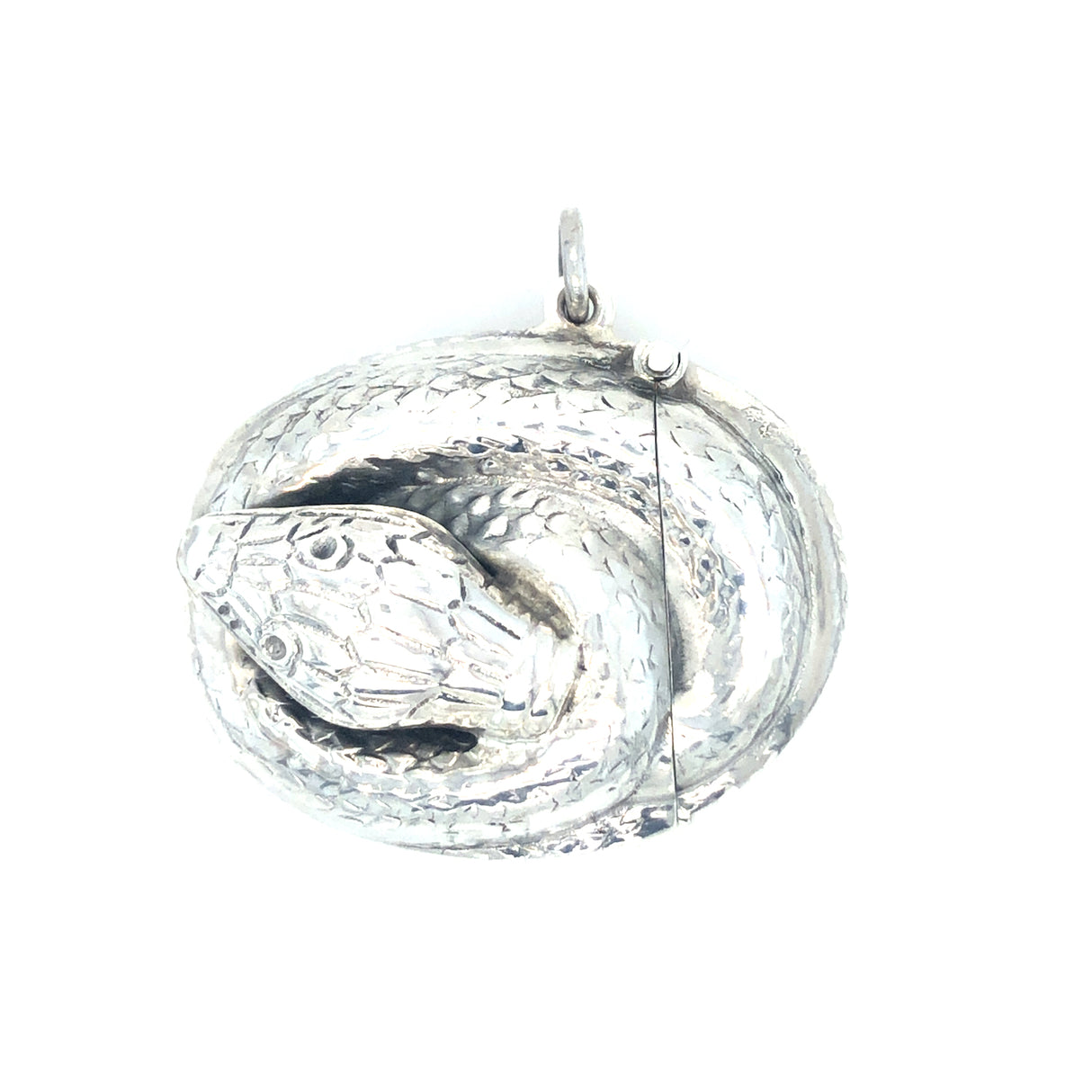 Antique Silver Snake Vesta Case